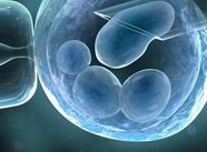 试管婴儿的女人？试管婴儿的女人需要锻炼身体吗多久？