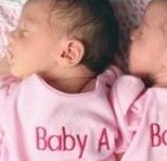 试管婴儿胚胎移植前能不能同房？