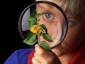 重度宫腔粘连在三沙市做试管婴儿靠谱吗，重度宫腔粘连试管婴儿成功率多少！