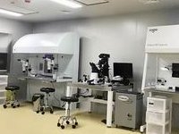 女性有染色体罗氏易位在黑龙江省做试管养囊成功率高吗？试管移植后需要保胎吗！