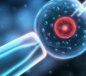 试管黄体期长方案的促排流程及适用人群