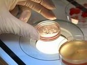 为什么试管助孕不能选择？哪家国家可以做三代试管选择