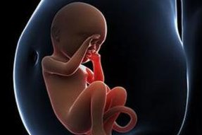 人工授精手术前注意事项  人工授精术后需要注意什么