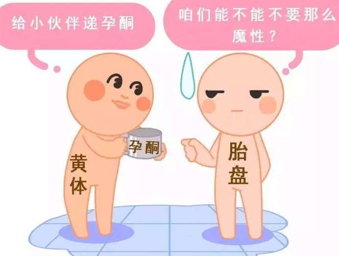 三代试管婴儿为什么会发展如此迅速？