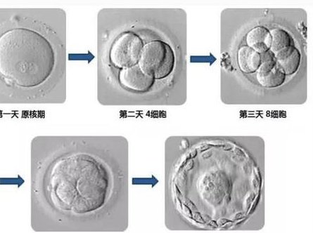 山西第三代试管婴儿费用详解，哪些医院值得信赖？